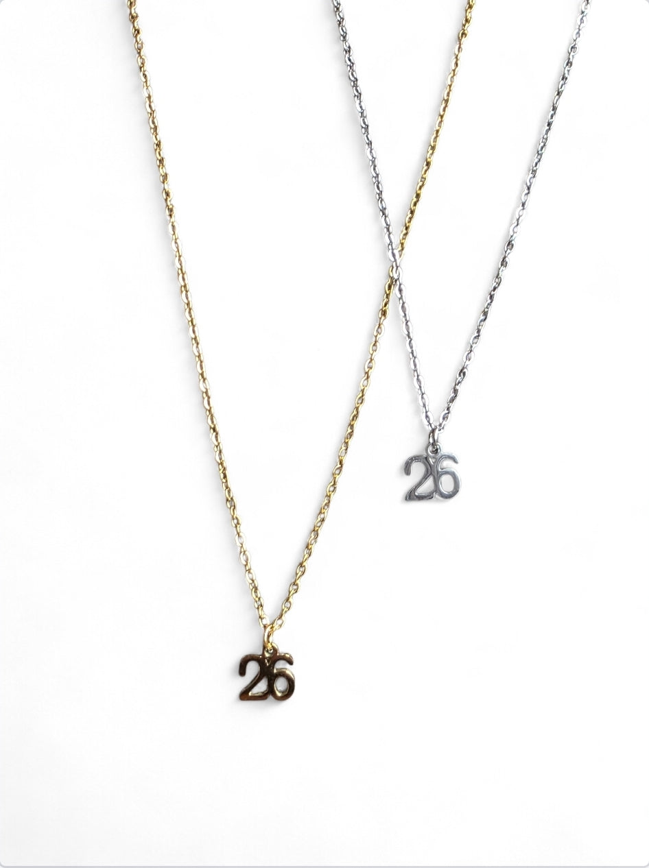 Γούρι κολιέ από ανοξείδωτο ατσάλι σε χρώμα ασημί SSN70s