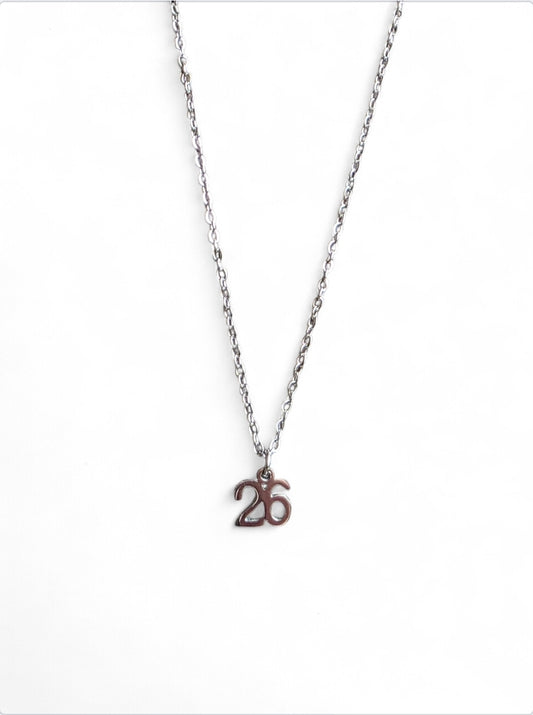 Γούρι κολιέ από ανοξείδωτο ατσάλι σε χρώμα ασημί SSN70s